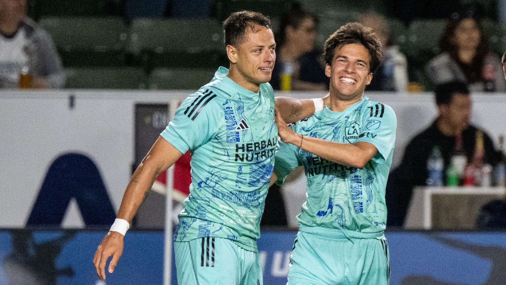 见证这份荣 见证这份荣