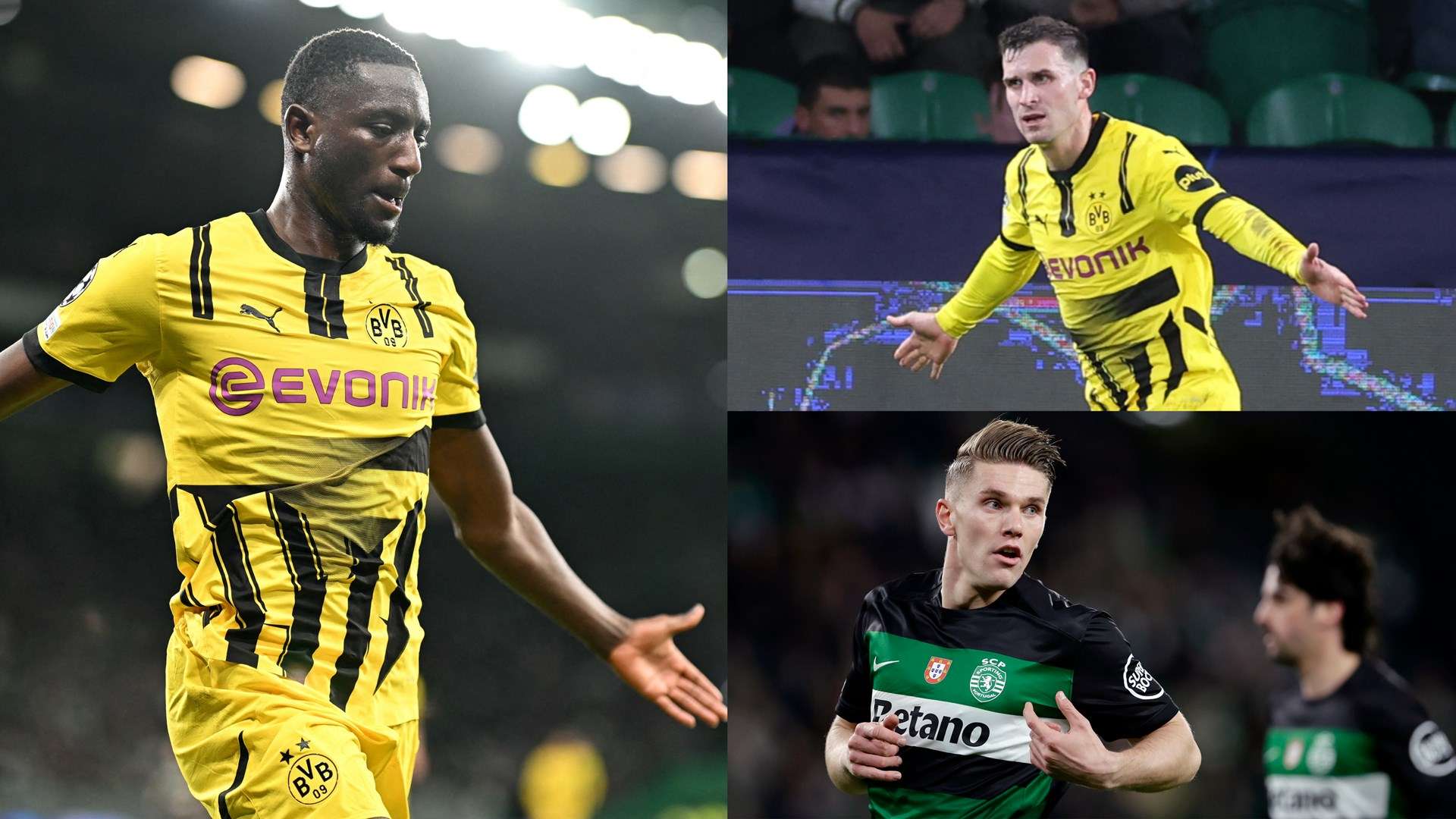 们实力的认 们实力的认